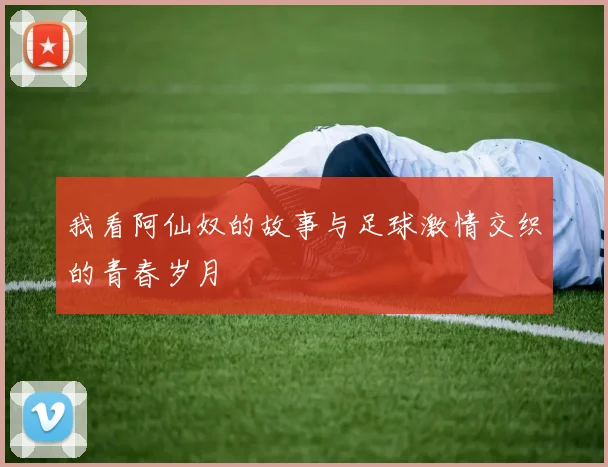 我看阿仙奴的故事与足球激情交织的青春岁月