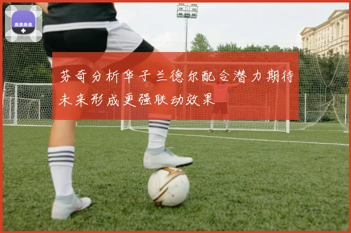 芬奇分析华子兰德尔配合潜力期待未来形成更强联动效果